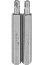 Richmann Uzgalis TORX ar caurumu 10x75 mm