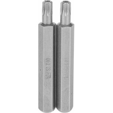 Richmann Uzgalis TORX ar caurumu 10x75 mm