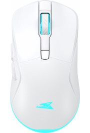 Baracuda BGM-122 Turtle White