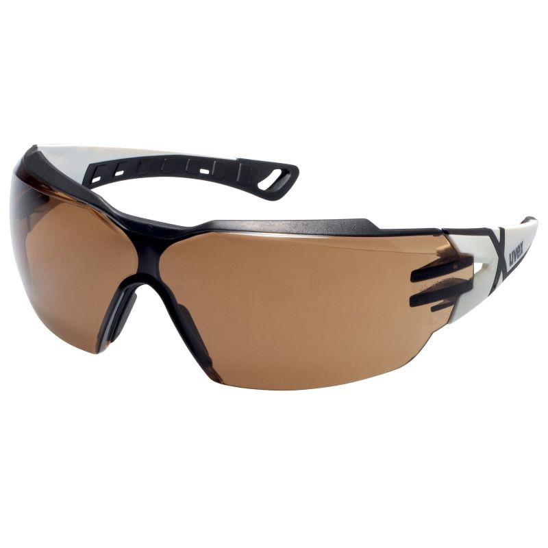 Uvex pheos cx2 CBR23 safety spectacles anti-fog on the inside, extremely scratch-resistant & chemical-resistant on the outside